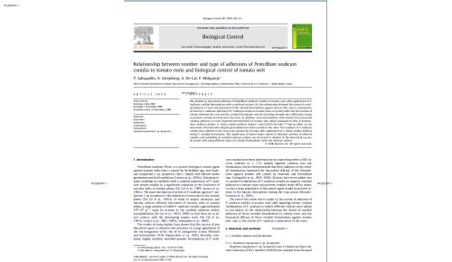 Relationship between number and type of adhesions of Penicillium oxalicum conidia to tomato roots and biological control of tomato wilt